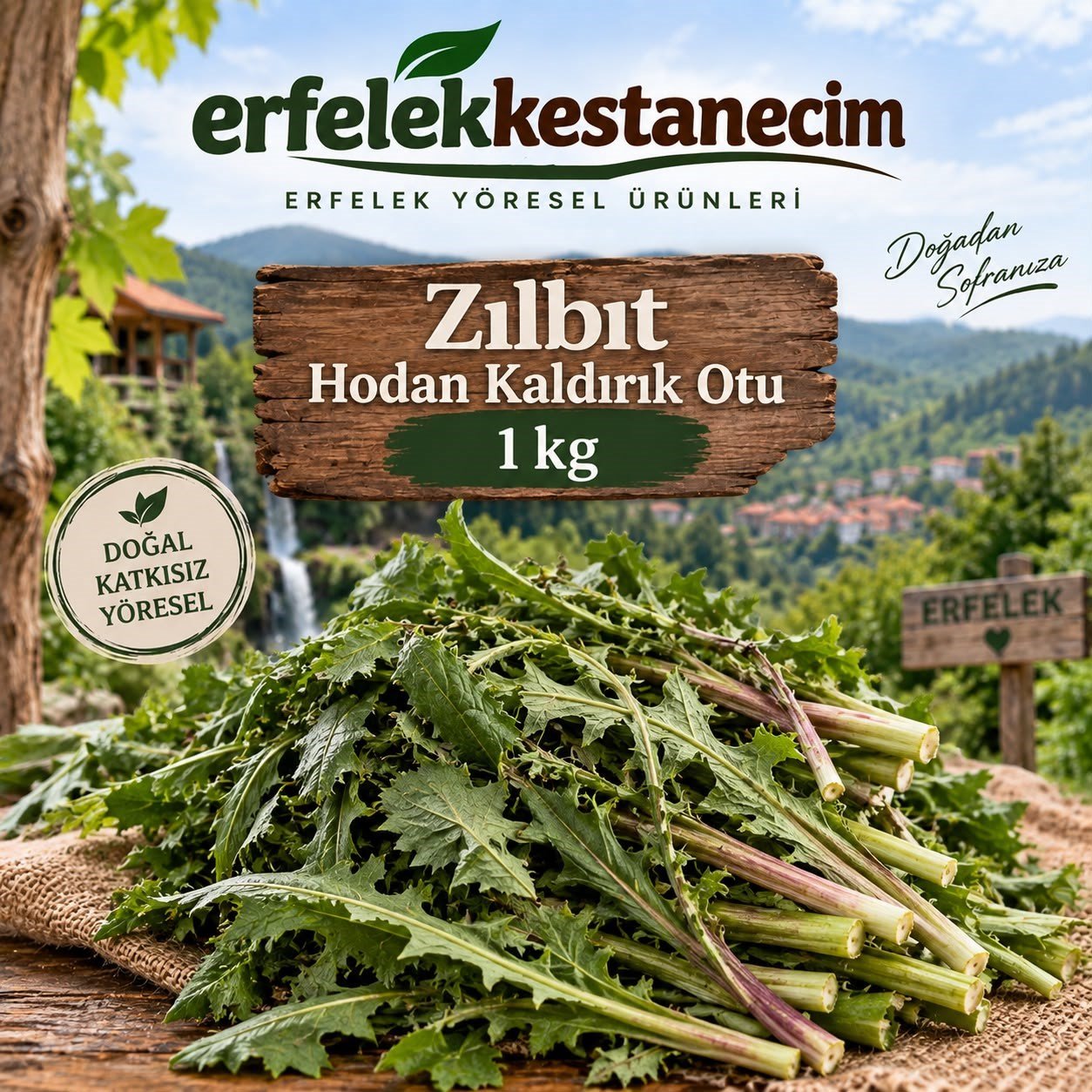 Doğal  Zılbıt -Hodan Otu -Kaldırık Otu 1 kg