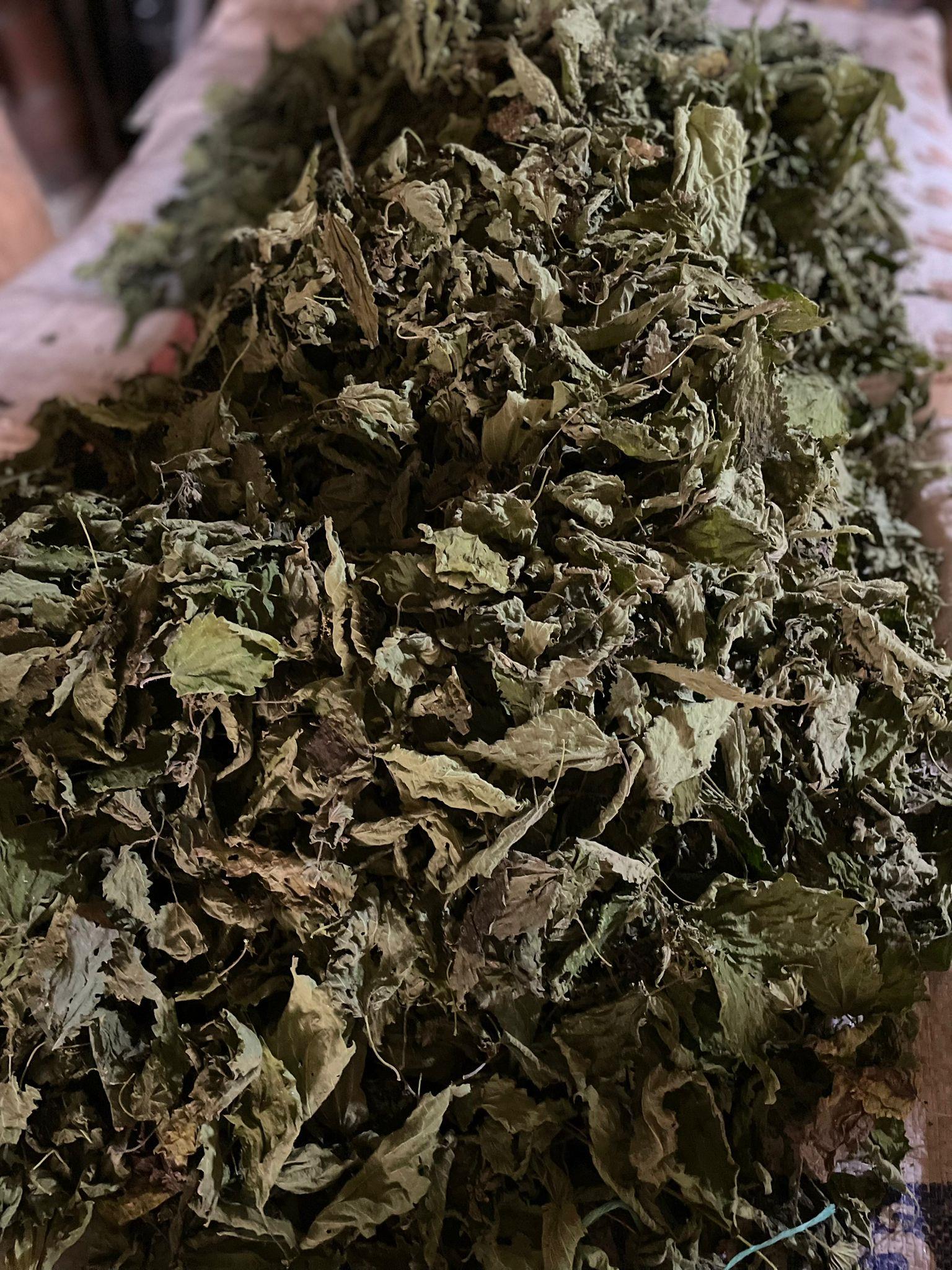 Isırgan Otu Kurutulmuş 100 gr