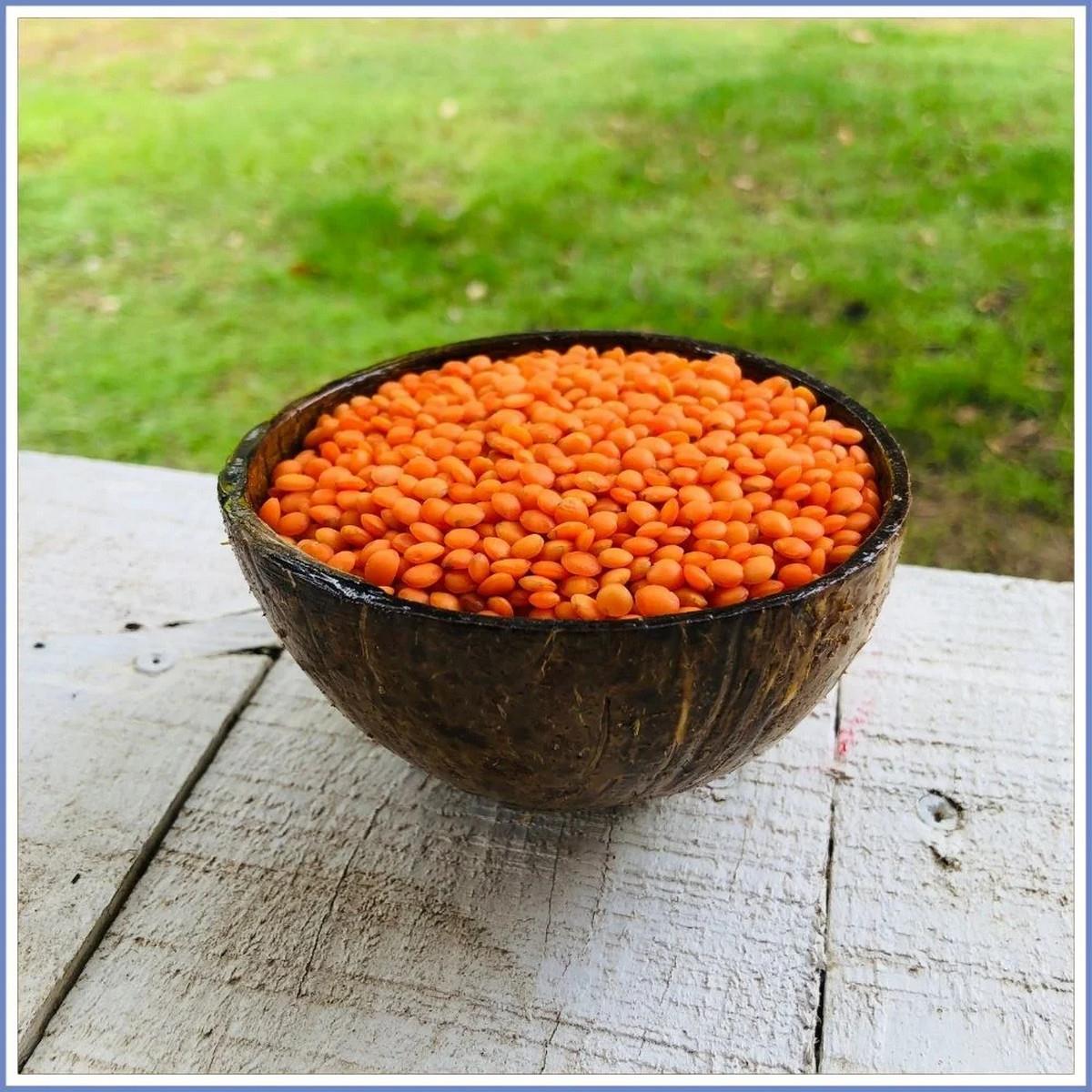Kızmızı Mercimek 1 KG