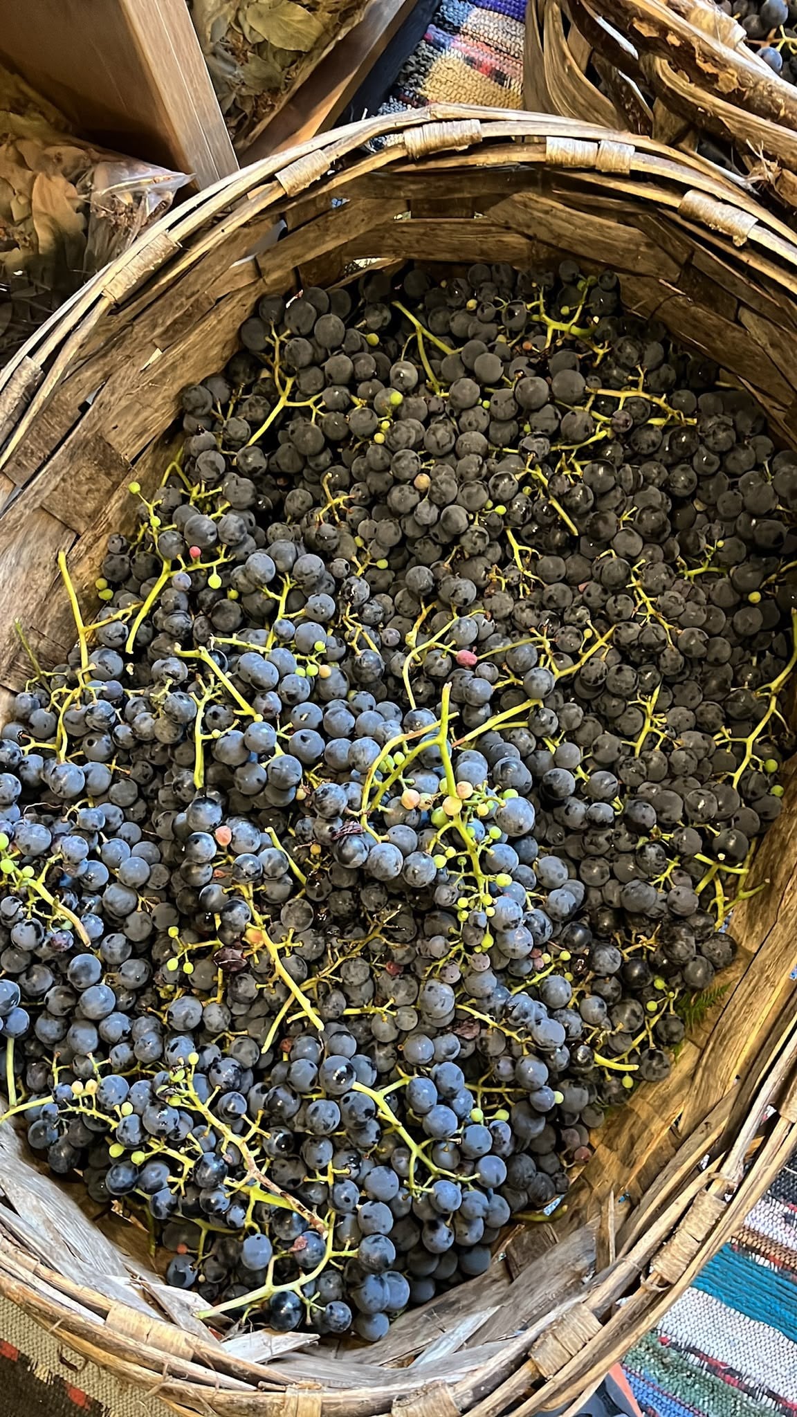 Kokulu Siyah Üzüm 5 kg
