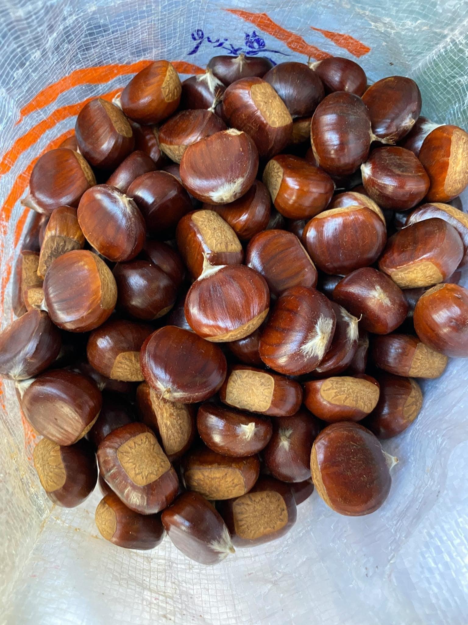 Kuzu Kestanesi Duble Boy 1 KG