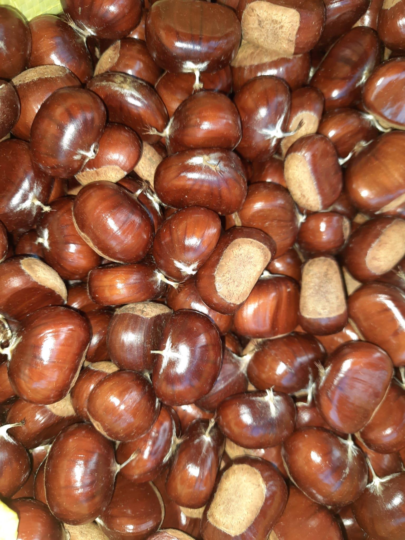 Kuzu Kestanesi Duble Boy 1 KG