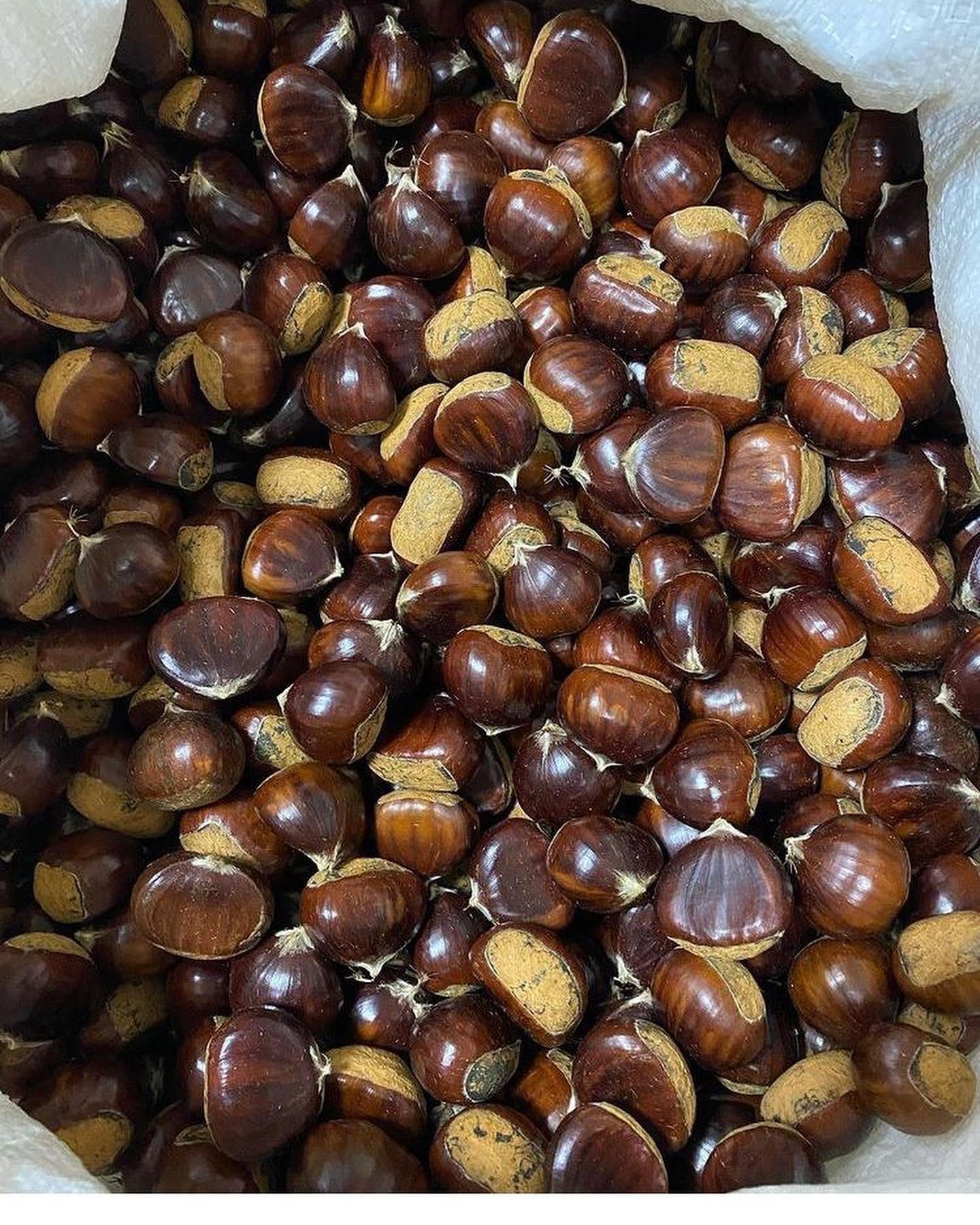 Kuzu Kestanesi İri Boy 1 KG