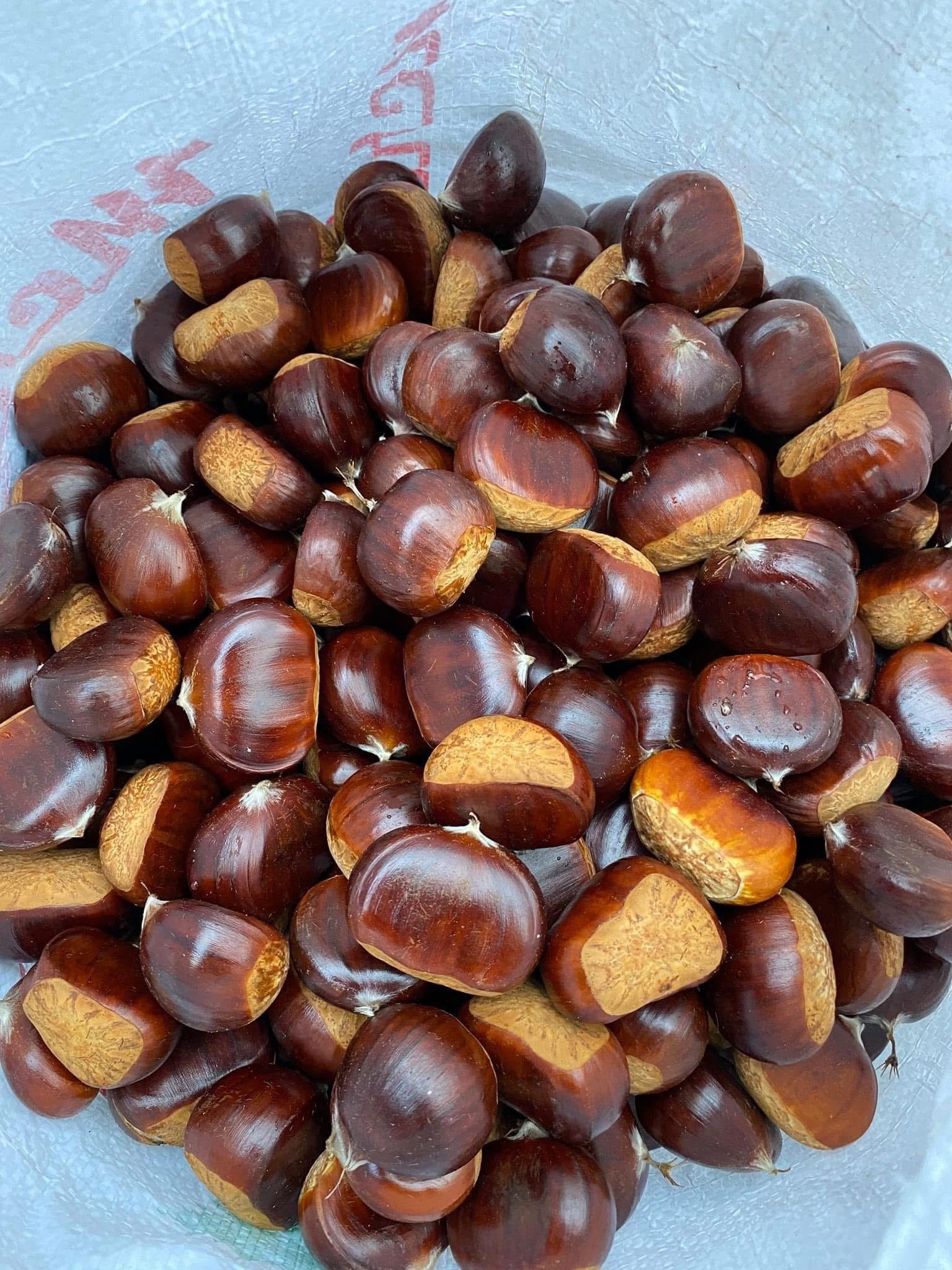 Kuzu Kestanesi Küçük Boy 1 KG