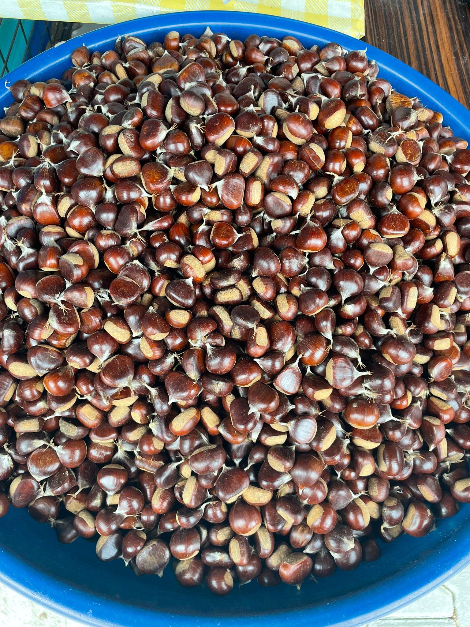 Kuzu Kestanesi Küçük Boy 1 KG