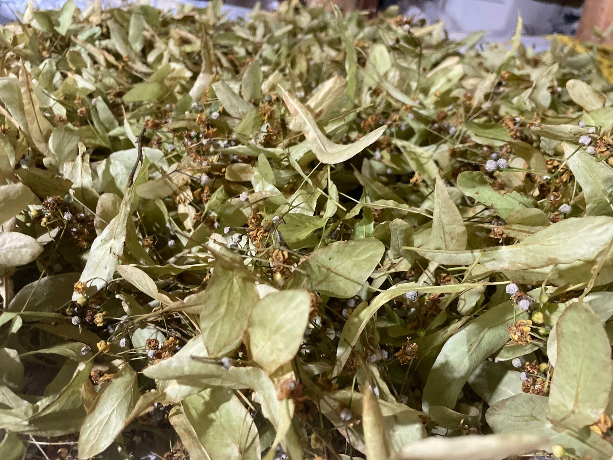 Organik Ihlamur 1 KG