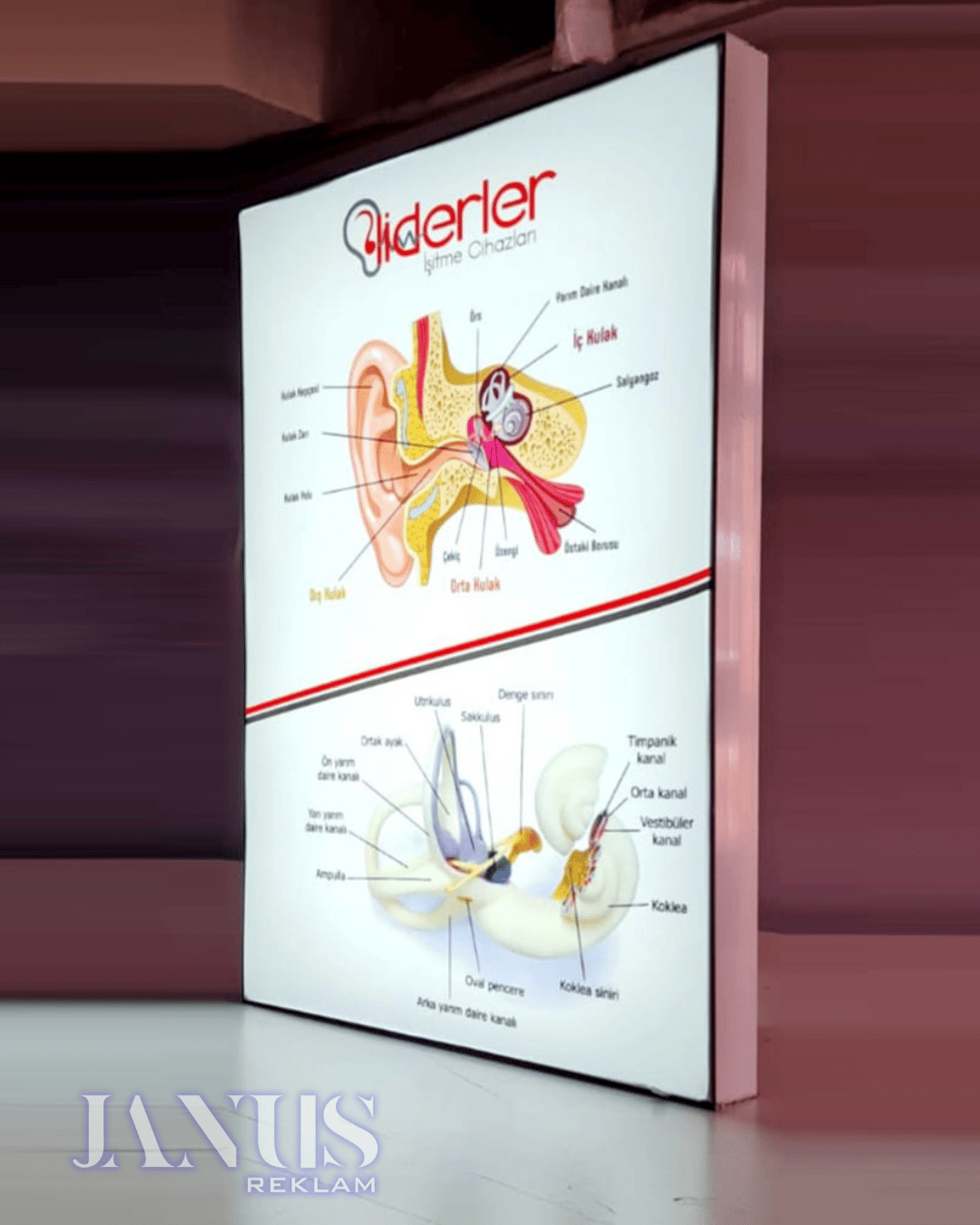 Lightbox - Çift Taraflı 10cm Profil Çift Dış Mekan - Uzun kenar ölçüsü 100 cm'e kadar