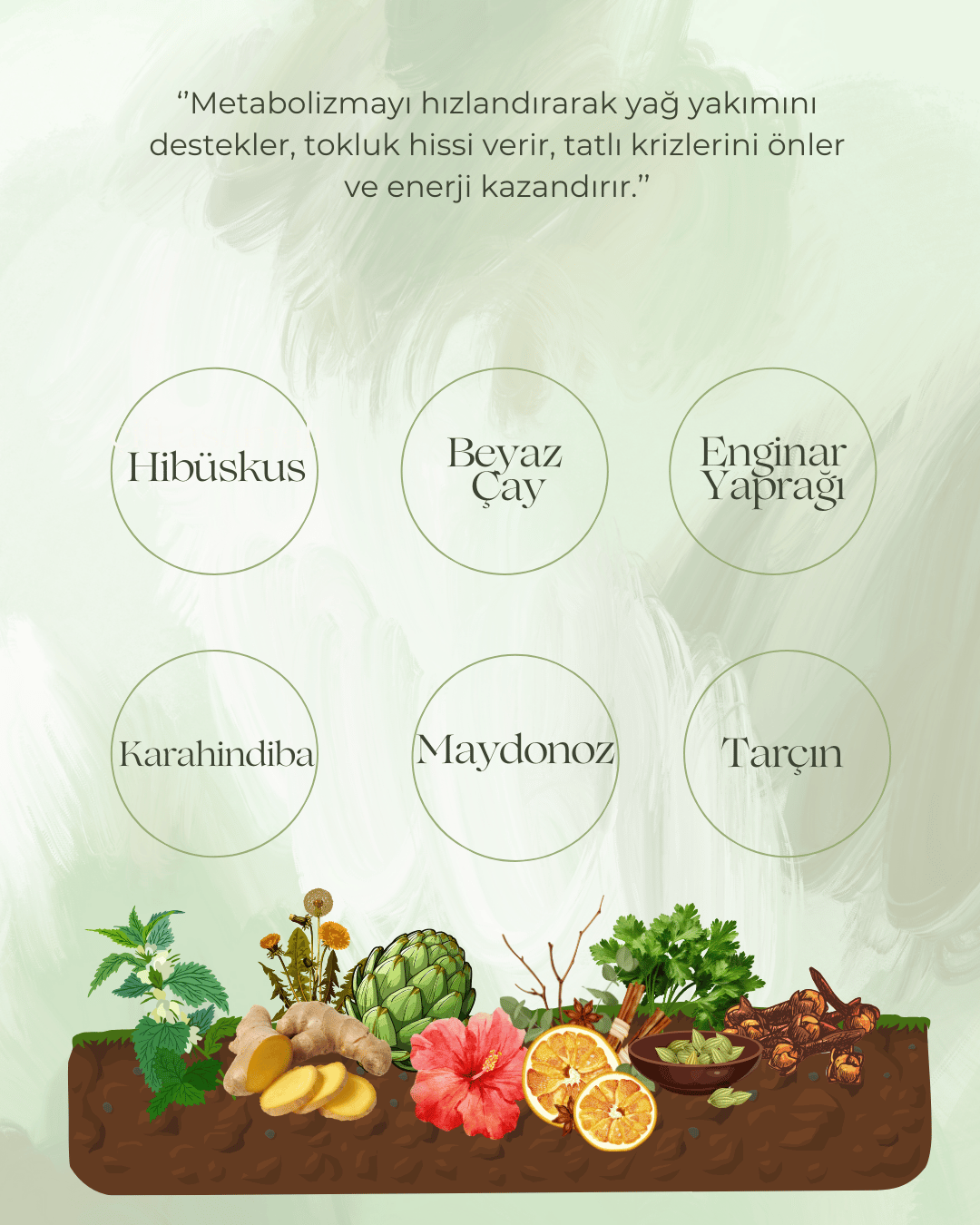 Bitkisel Detox Çay,İştah Kapama ve Ödem Atmaya Destek Diyet Çay