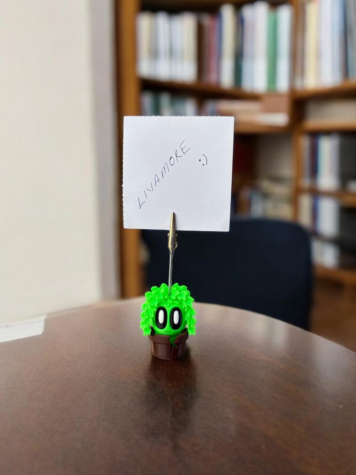 kaktüs model 2 not tutacağı