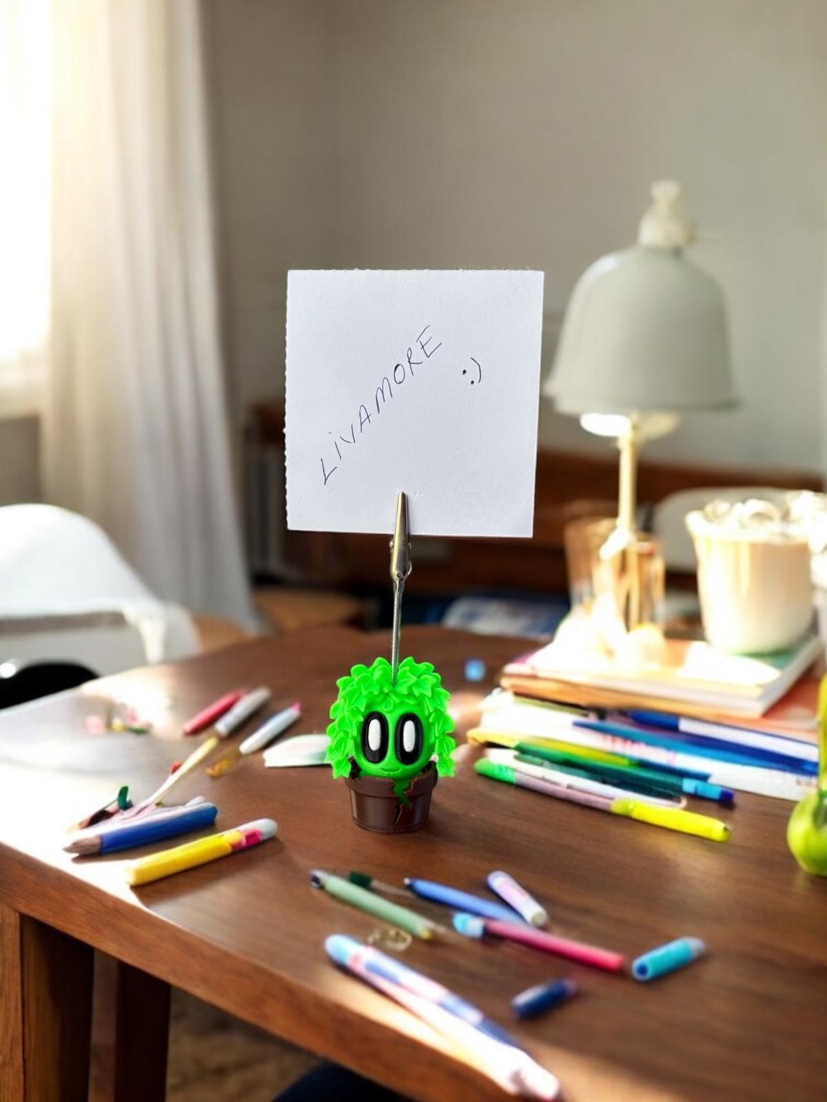 kaktüs model 2 not tutacağı