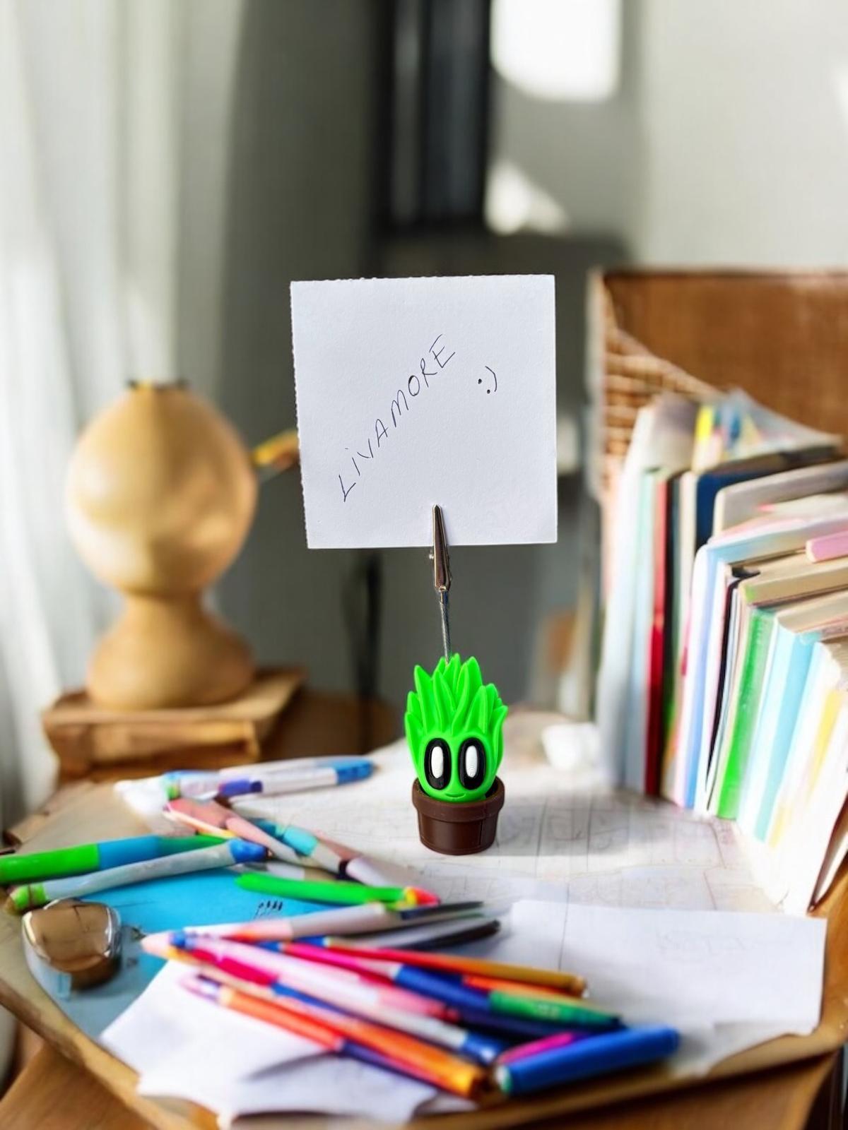 kaktüs model 3 not tutacağı