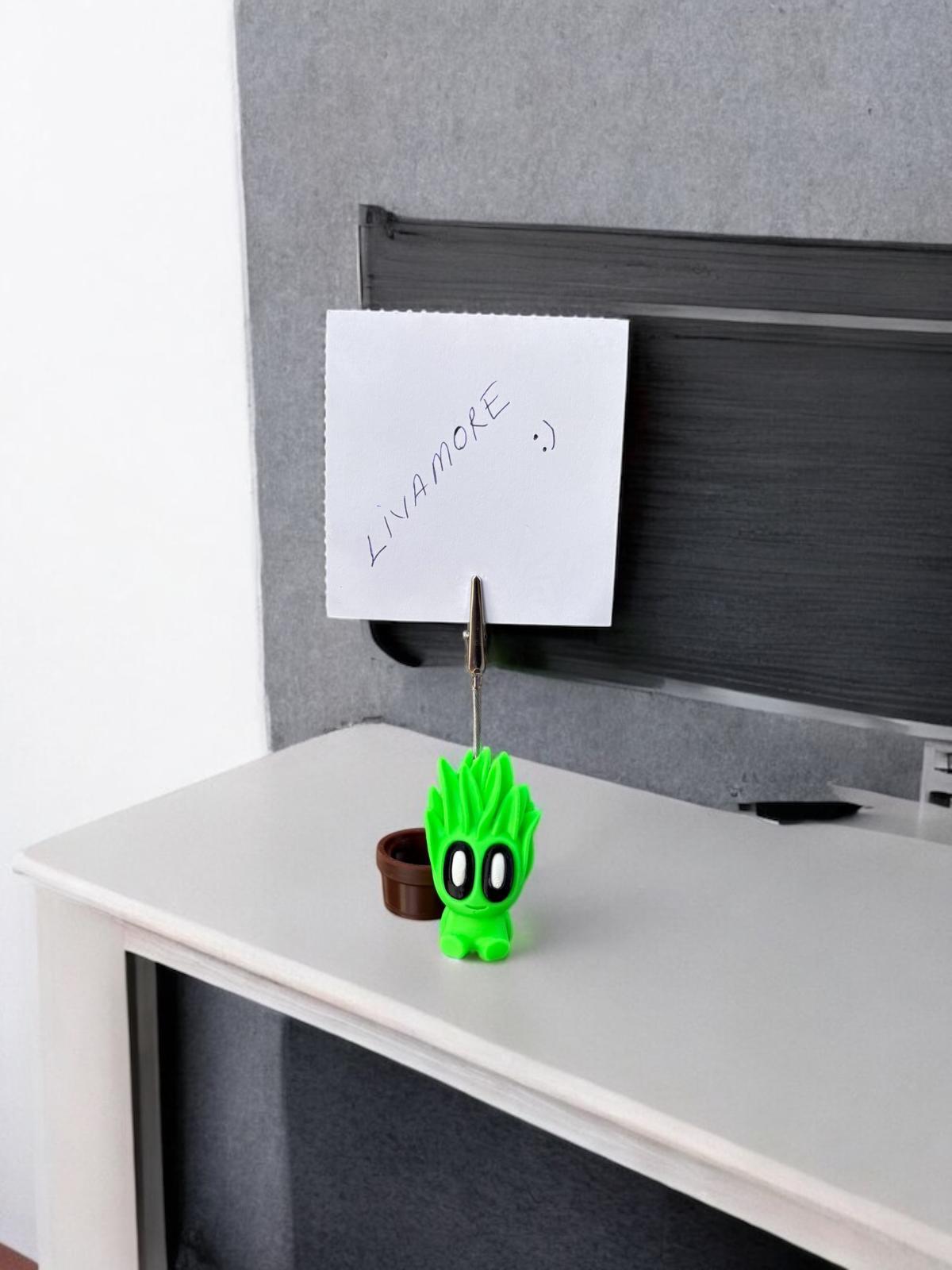 kaktüs model 3 not tutacağı