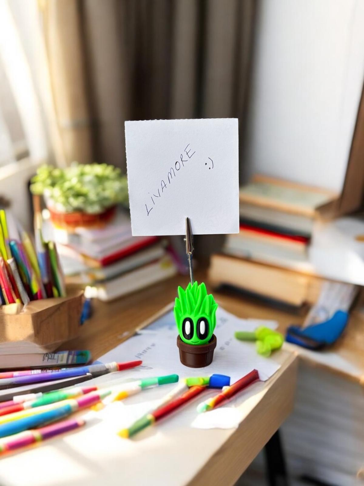 kaktüs model 3 not tutacağı