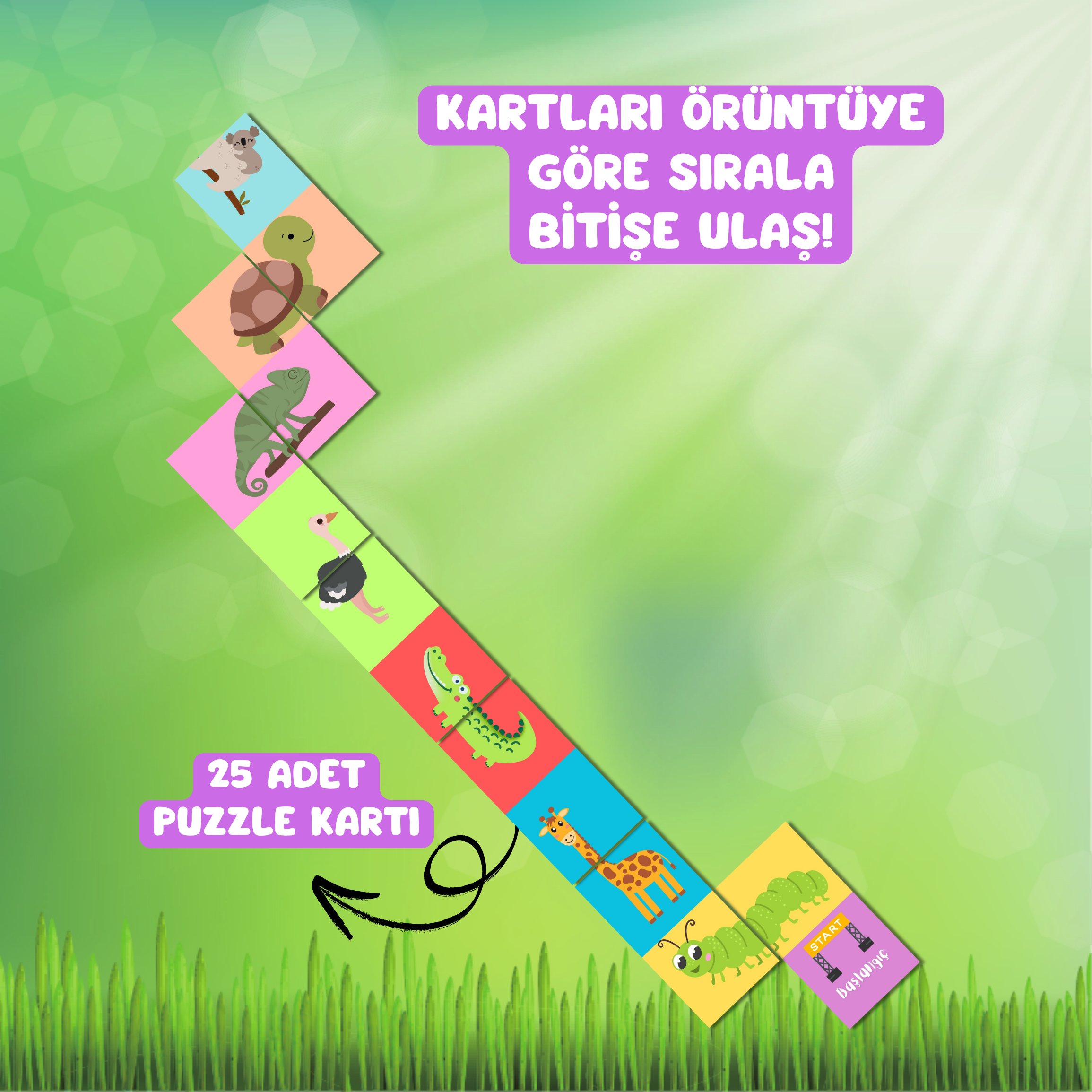 Tırtıl Match Puzzle