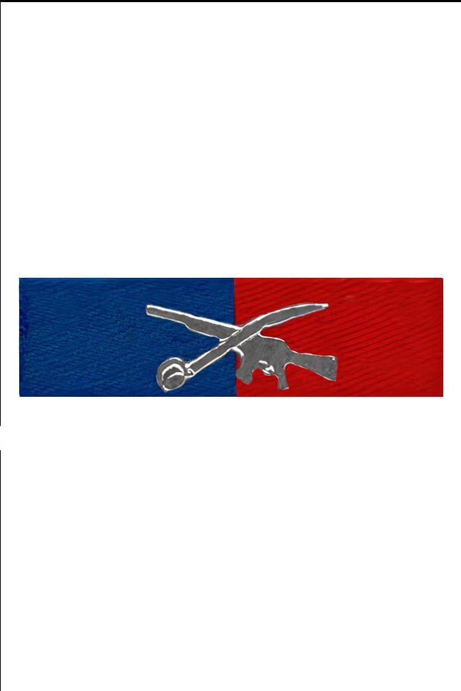 Single Sword Şerit Rozet