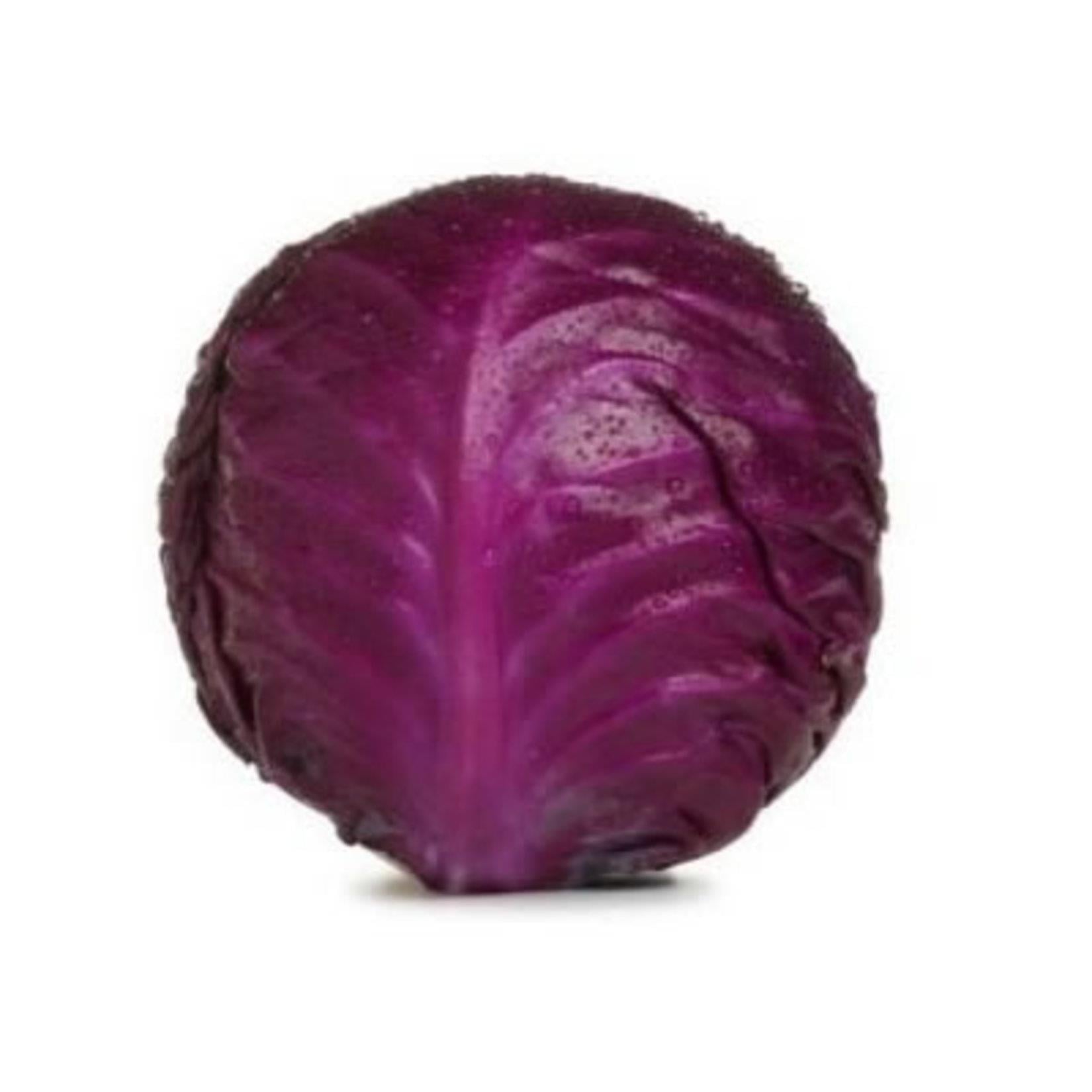 KIRMIZI LAHANA