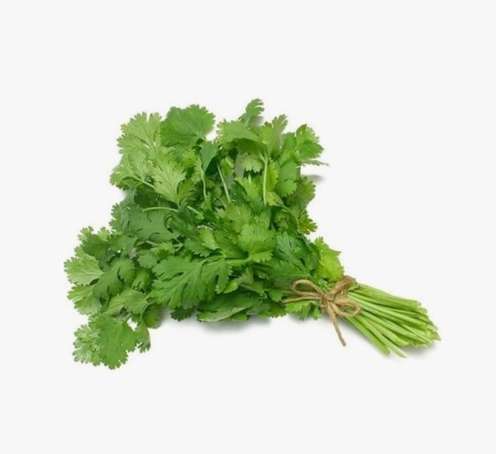 KİŞNİŞ (CORIANDER) DEMET