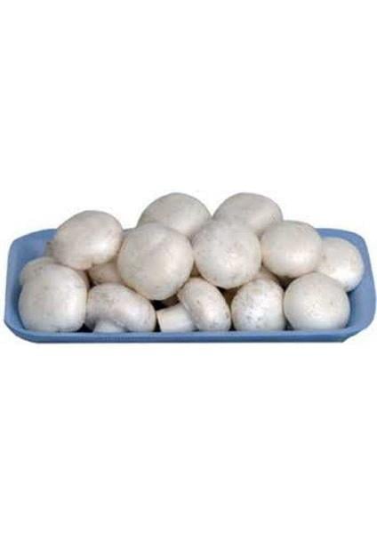 MANTAR PAKET