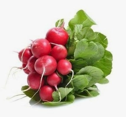 TURP MİNİ BAĞ KG 