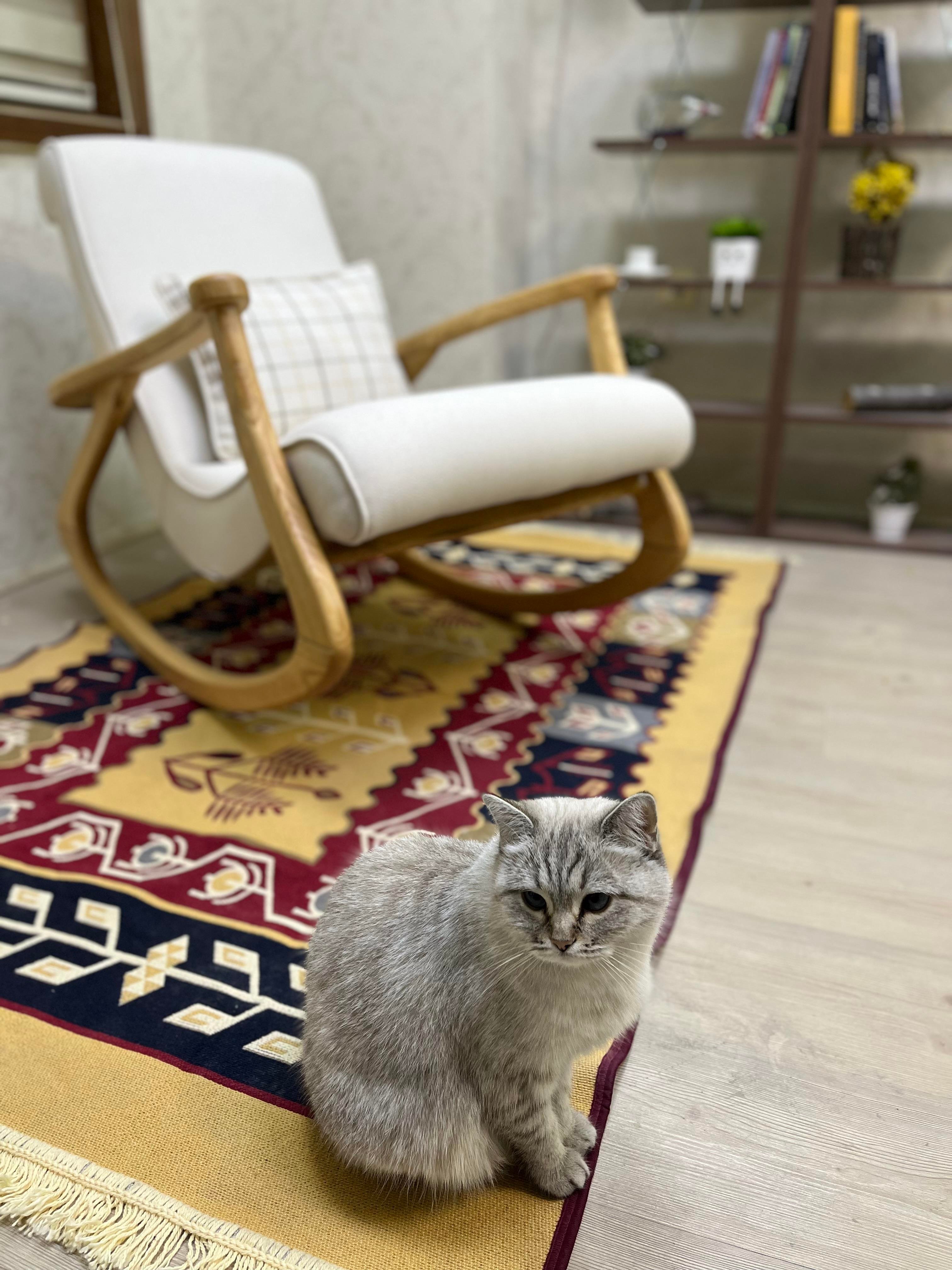 EKOL SALLANAN SANDALYE