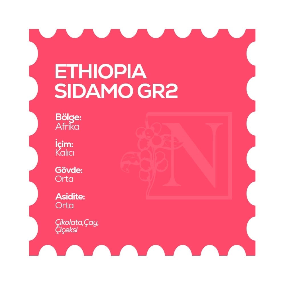 Ethiopia Sidamo GR2 Filtre KahveEthiopia Sidamo GR2 Filtre Kahve