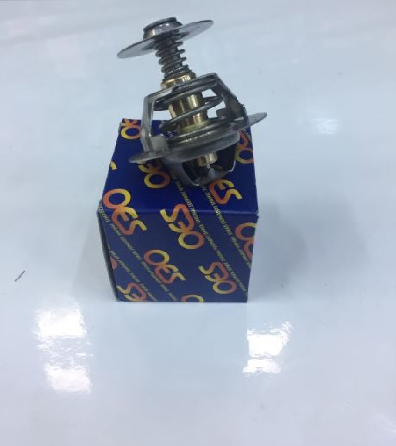 TERMOSTAT 60°C BYLI KUPILYASIZ T12T15 93>99 FORD 89FF8575AB