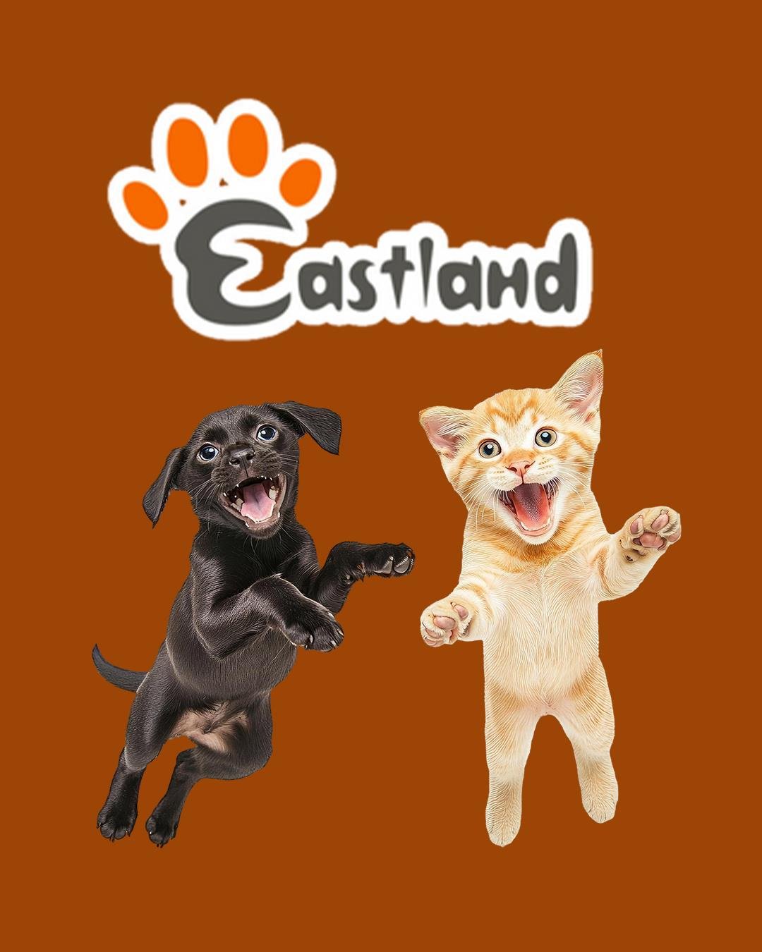 Eastland Hasır Tüylü Çıngıraklı Top-çap 6 cm