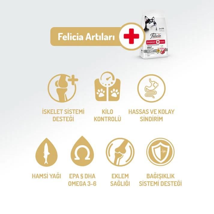 Felicia Digest Care Adult Lamb-Collagen Medium & Large 3kg (Az Tahıllı & Hipoalerjenik Kuzu Etli Yetişkin Köpek Maması Orta ve Büyük Irklar için)