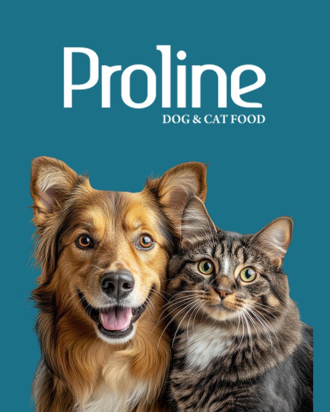 Proline Pouch Jelly Jöle İçinde Et Parçacıklı Kuzu Etli Yaş Kedi Maması 85 gr