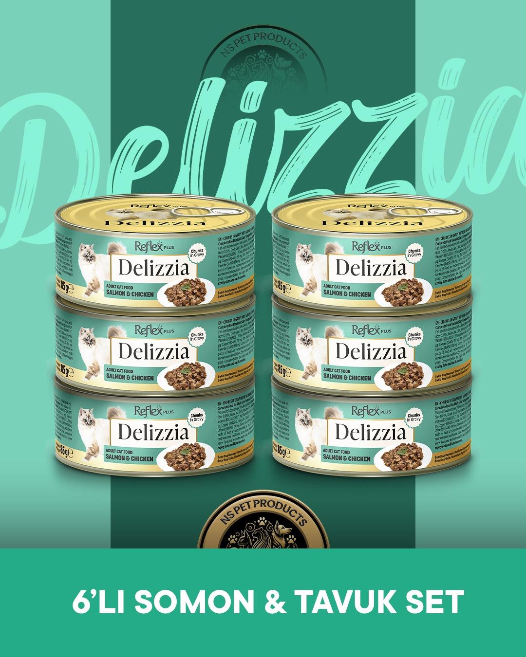 Reflex Plus Delizzia Yetişkin Somonlu-Tavuklu Gravy Kedi Maması 6x85 gram
