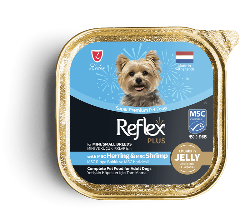 Reflex Plus Pate Ringa Balıklı ve MSC Karidesli Mini ve Küçük Irklar için Yetişkin Köpek Maması – 24 × 85 g