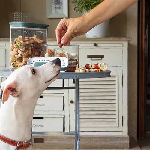 Stefanplast Dikdörtgen Snackbox 2.2 Lt Yeşil/Beyaz