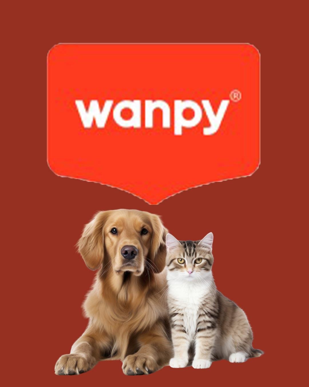Wanpy Kurutulmuş Gerçek Dana Ciğeri Köpek Ödül Maması 40 gr