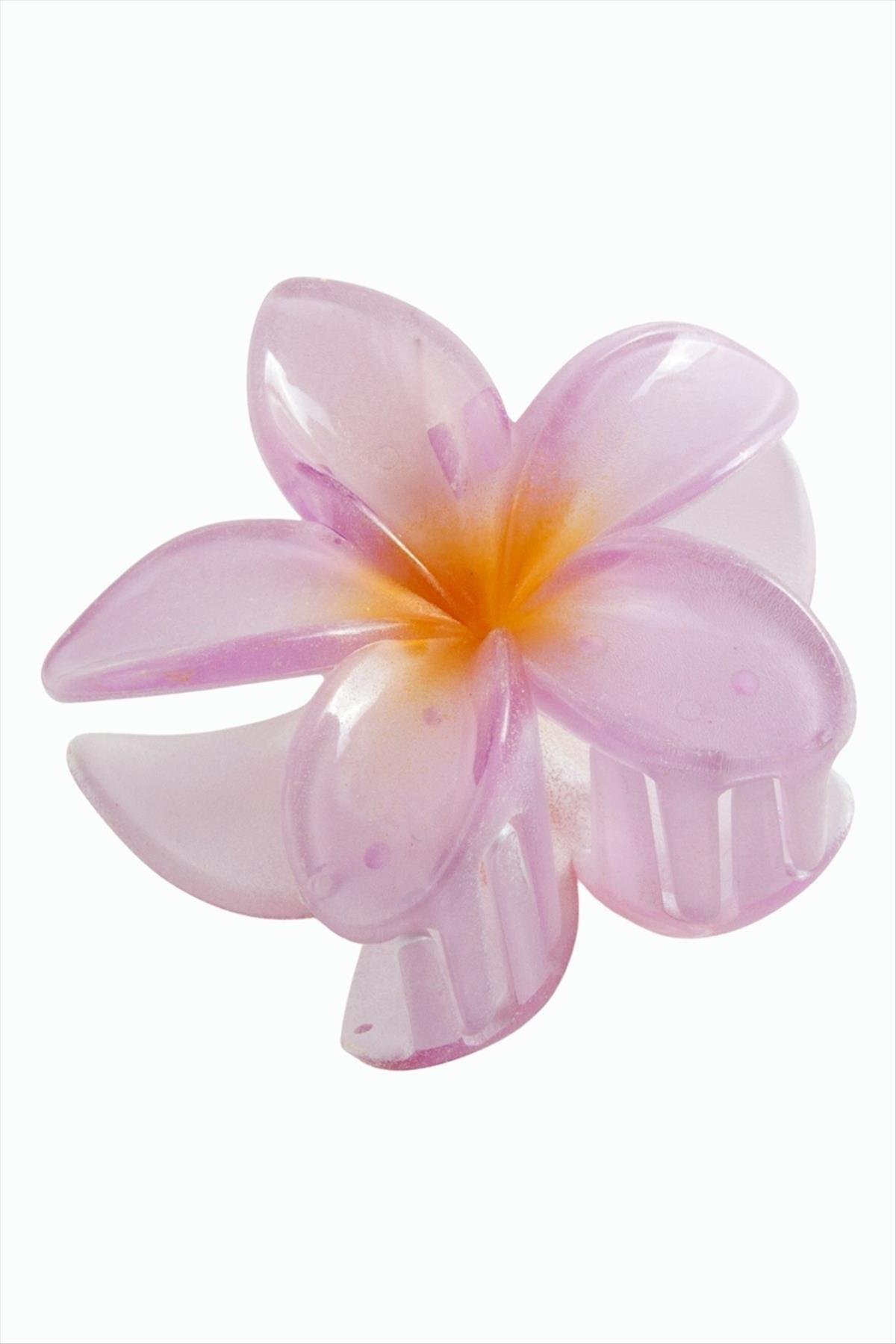Lotus Toka 8 cm