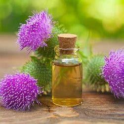 Saide Ana Devedikeni Yağı 50 ml