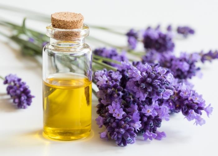 Saide Ana Lavanta Yağı 10 ml