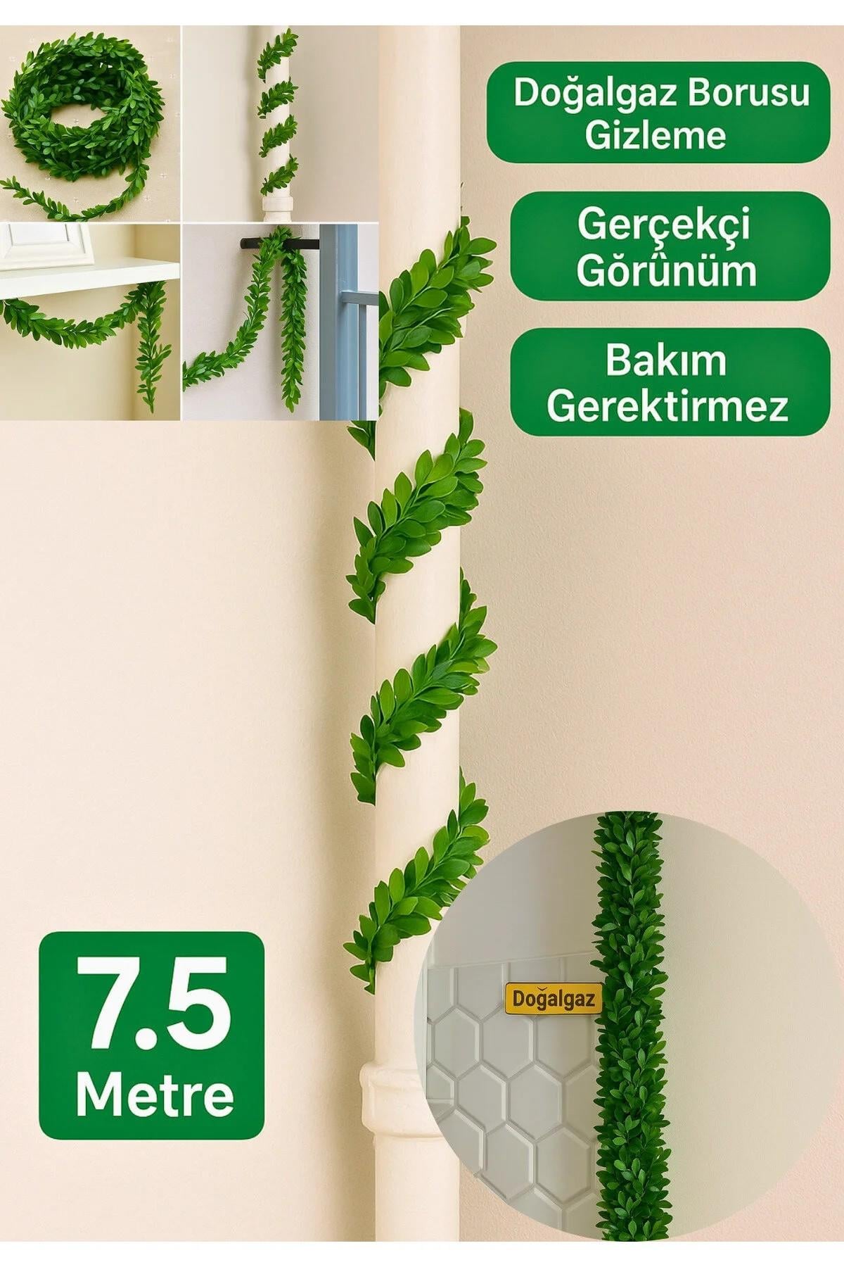 7.5 METRE SARMAŞIK YAPRAK