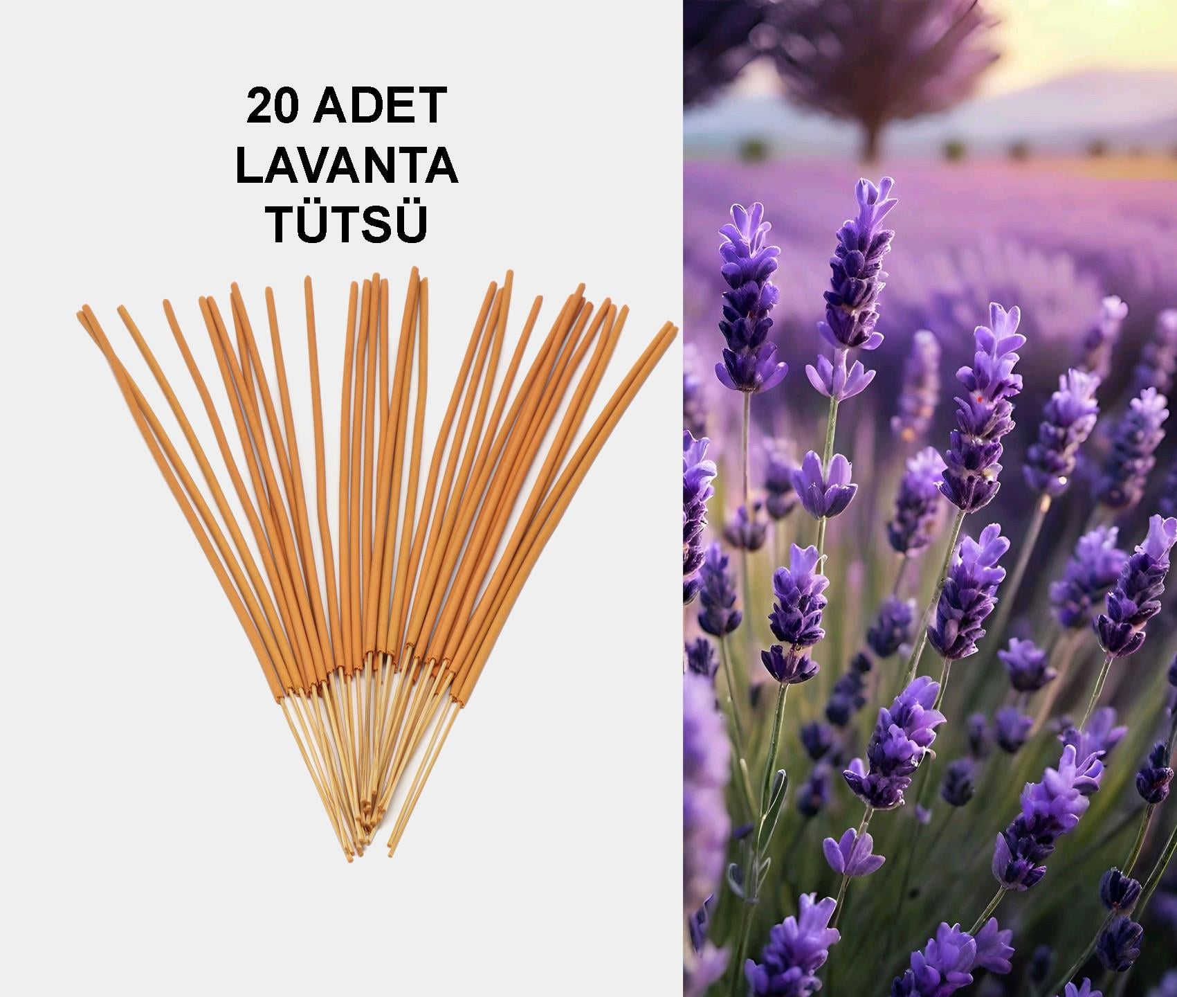 LAVANTA TÜTSÜ