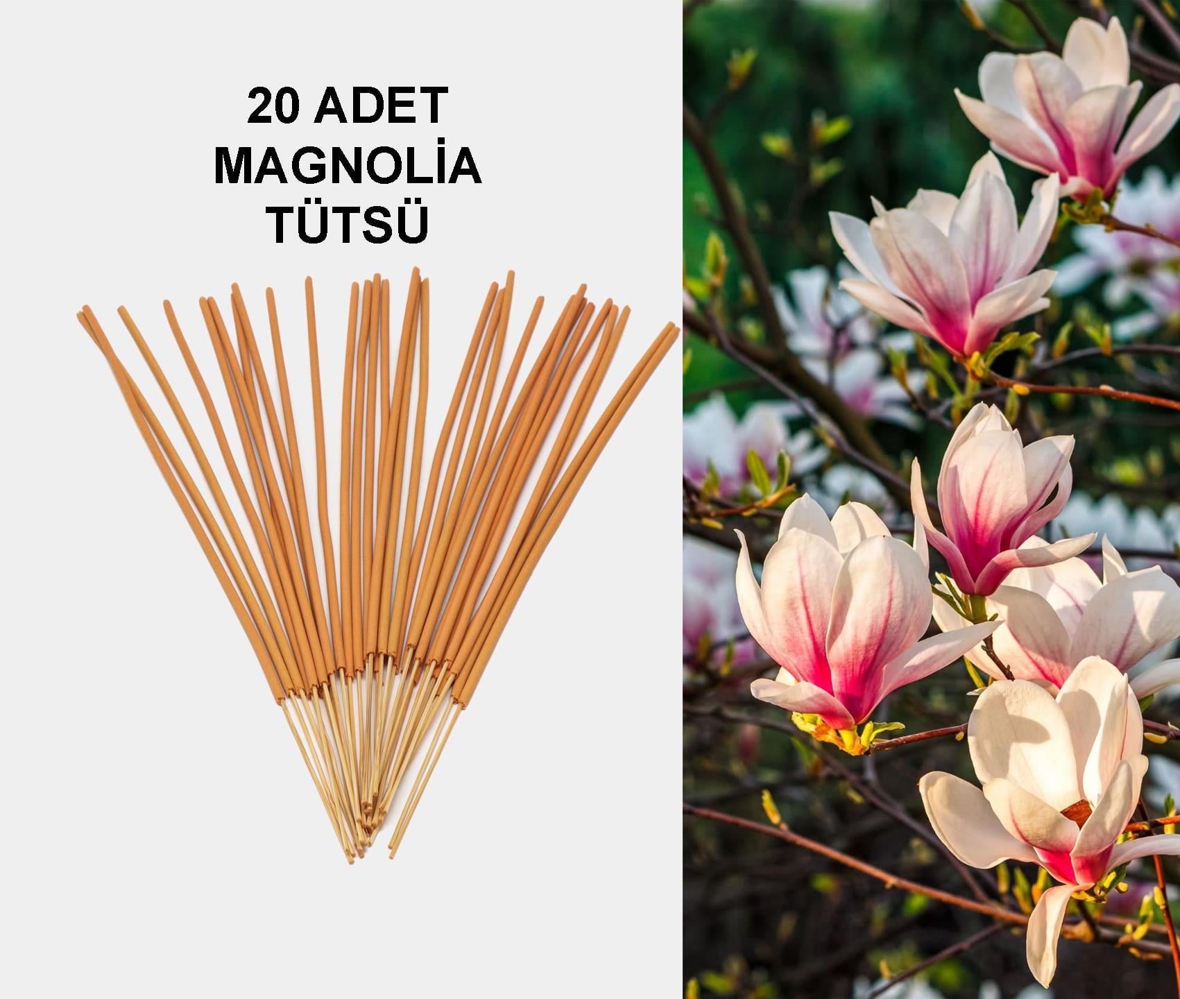MAGNOLİA TÜTSÜ