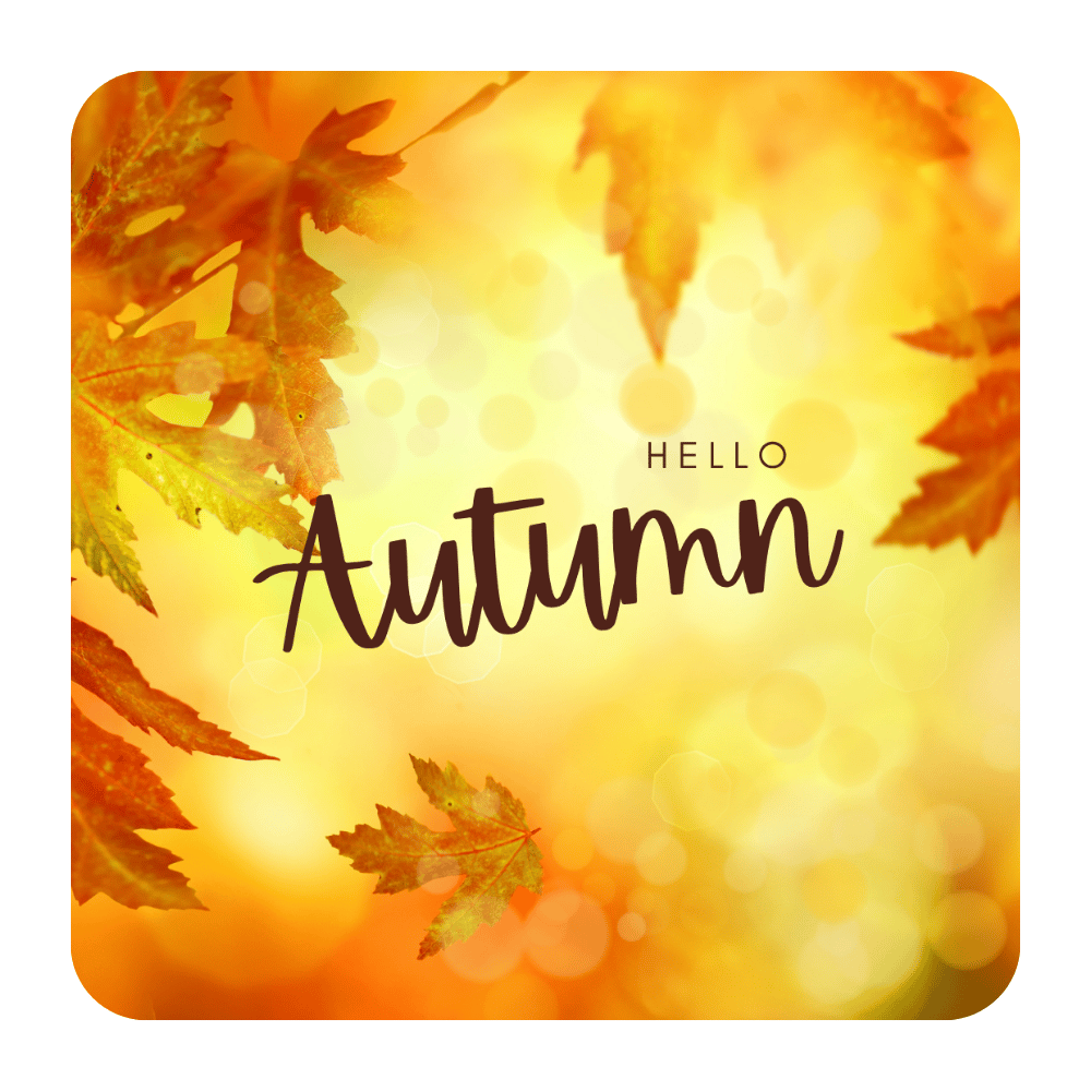 Mevsim Temalı 8'li Ahşap Bardak Altlığı