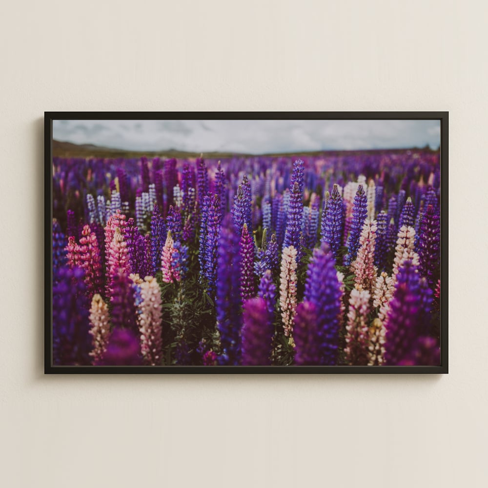Mor Lavanta ve Yabani Çiçekler Temalı Doğal Retro Poster Tablo