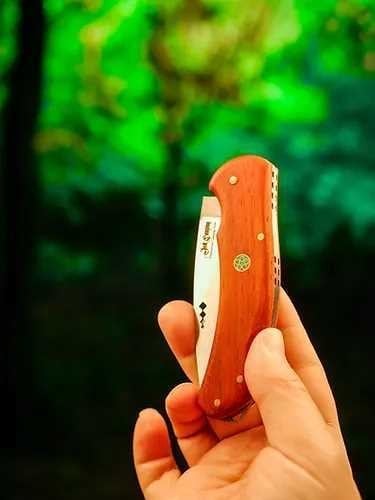 IŞIK CAMPING Paduk Saplı Kamp Piknik Çakısı - Profesyonel Kalın Şantiye, Kamp, Katlanabilir Av Çakısı ve Yüksek Karbonlu Çelik Cep Çakısı