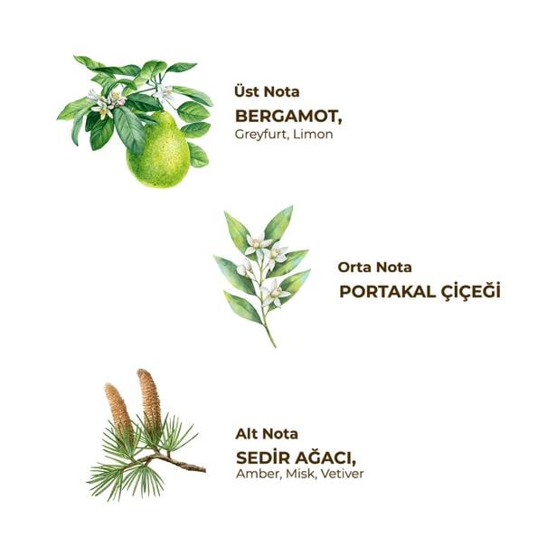 TIRAŞ KOLONYASI NO:3 250 ML