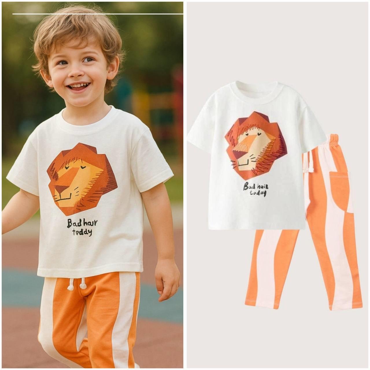 Aslan Baskılı Takım 