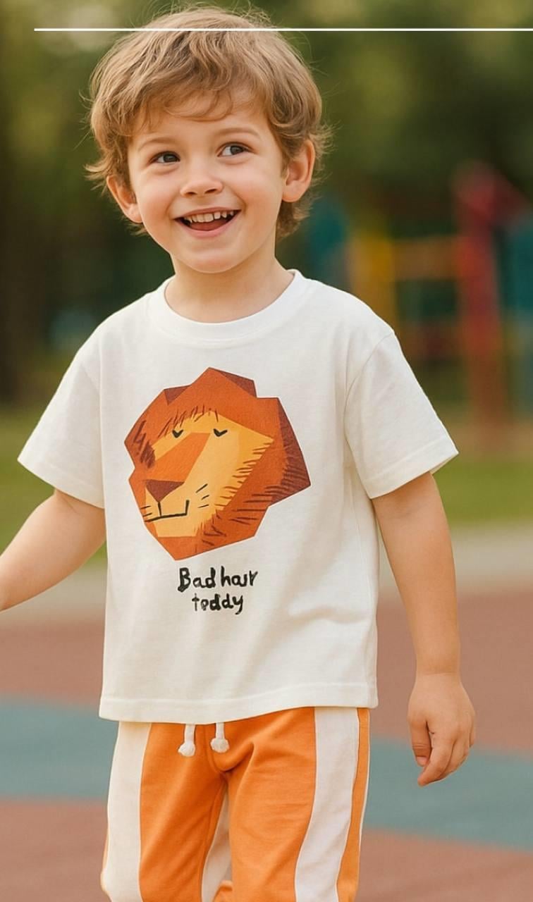 Aslan Baskılı Takım 