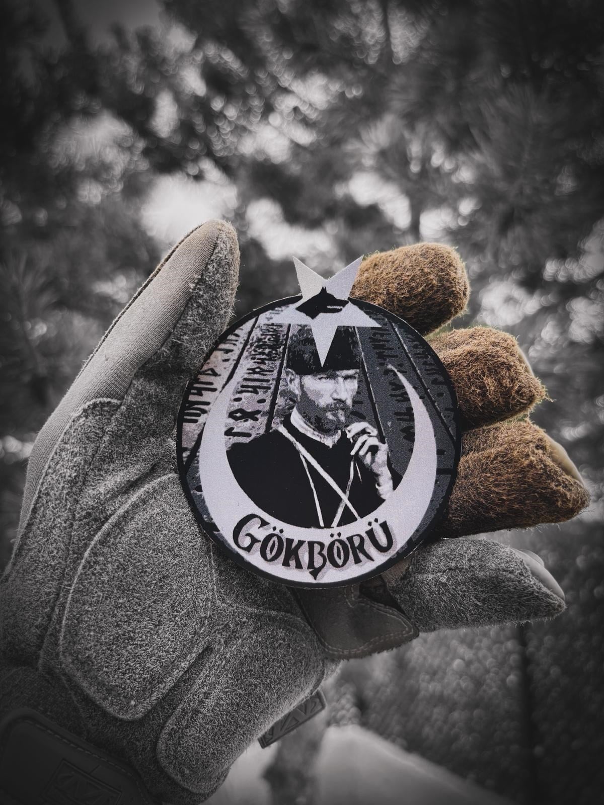 Gökbörü Patch/Peç/Arma ( 8.7 cm )