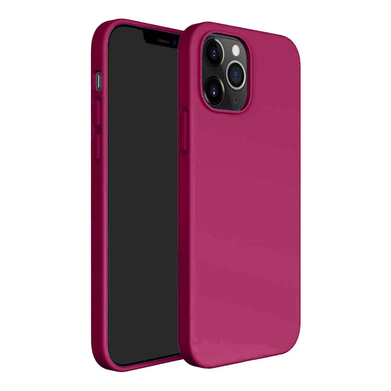 Nettech Apple iPhone 12 Pro Uyumlu Nano Arka Koruma Kılıf NT-82275