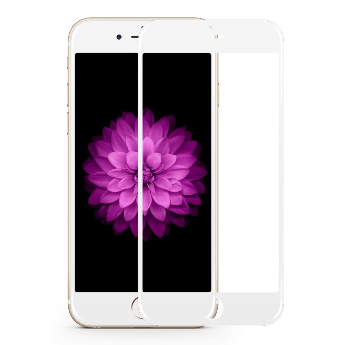 Nettech Apple iPhone 6S Uyumlu 3D SuperGlass Full Cam Koruyucu VR-11078