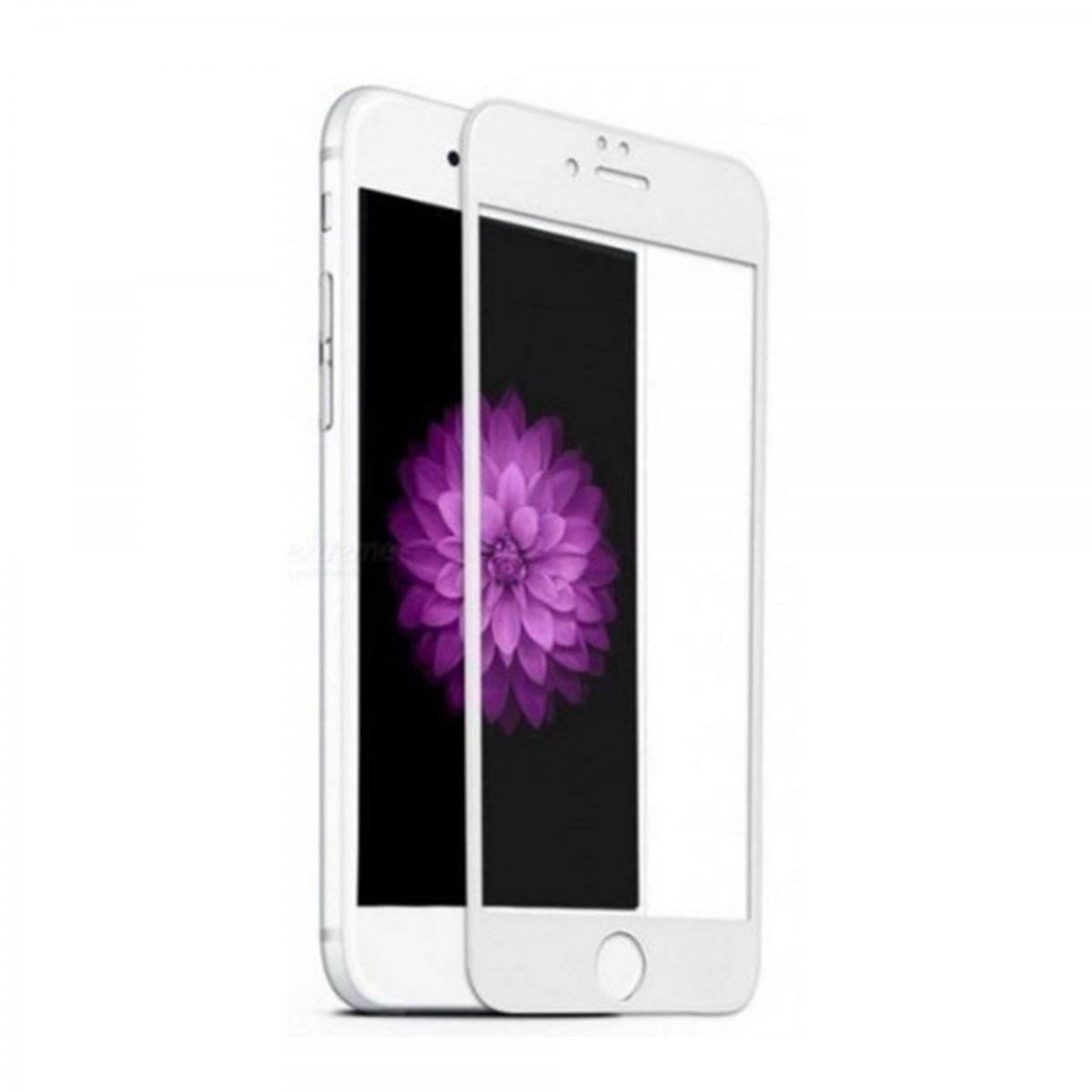 Nettech Apple iPhone 8 Uyumlu 5D Glas Full Cam Koruyucu VR-14834