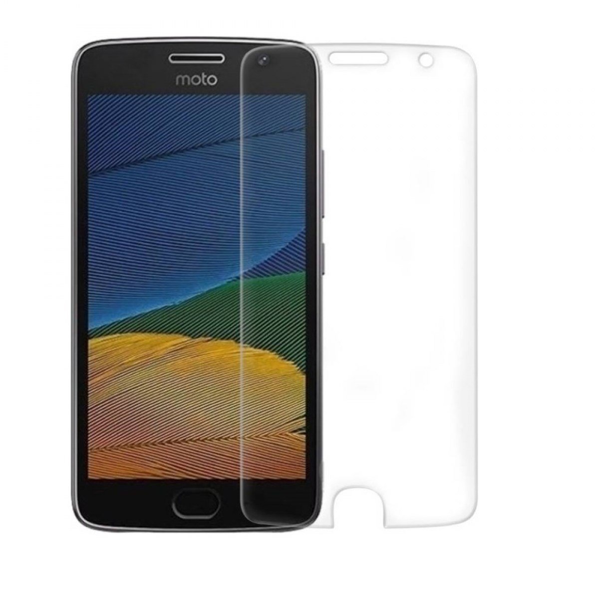 Nettech Motorola G5S Uyumlu Ön Koruma Cam Ekran Koruyucu NT-26312